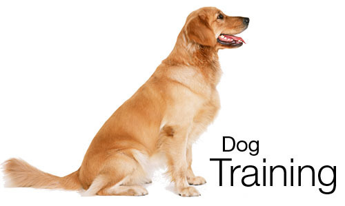 training_dog's profile picture. Dog Training Secrets. We Helped Over 65,353 Dog Owners. Best Dog Training And Behaviour Website 4 Years Running! , Read Review