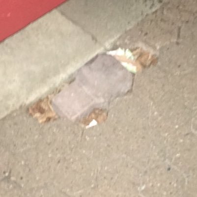 wodemingzishe1's profile picture. 