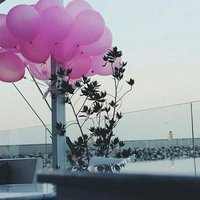 حصه الرثيع ⚖ (@ms_hossa7) 's Twitter Profile