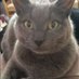 Bebear (@bebear735) Twitter profile photo Bebear (@bebear735) Twitter profile photo