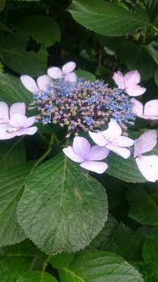 SIROKANEDOUBUTU's profile picture. 白金高輪動物病院、中央アニマルクリニック、LINDO。都内にある動物病院とペットサロンです。気軽にフォローよろしくお願いします。