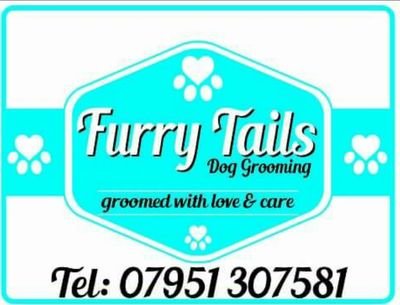 Home based dog groomer, Liverpool 8. Fully insured, canine first aid certificate held.
