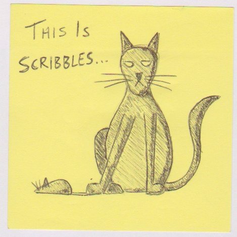 Scribbles the Cat