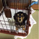 山元 (@0827_ringo) Twitter