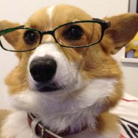 naka (@naka_razgriz) Twitter profile photo