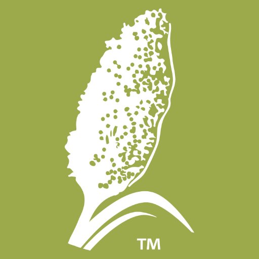 Sorghum, Nature's Super Grain can be served for breakfast, lunch & dinner everyone will love. Get inspired by sorghum & add a new twist to your favorite meals!