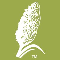 simplysorghum (@simplysorghum) 's Twitter Profile