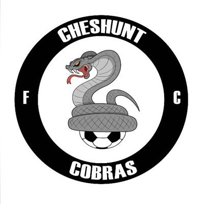 Formed in 2016, playing in the East Herts Corinthian League Divison 1, based in Hertfordshire. Div 3 Champions 2017/18 🏆🏆 #CCFC