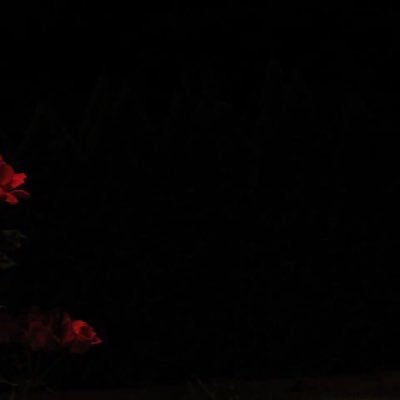 SaraShroug77's profile picture. وان ضمني قبري يا الله سخر لي من يقف بين يديك ويرجوك رحمة ومغفرة لذنوبي .