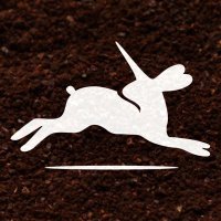 Stone's Throw Coffee (@stones_throwyqr) 's Twitter Profile Photo