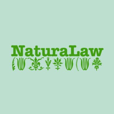 How to apply the Law of Vibration (Attraction) and Natural Law into your life! App and Website launching soon! #NaturaLaw #LoA #LawofAttraction