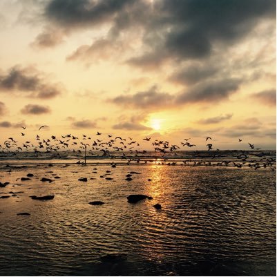 MrVissers's profile picture. Countries I lived in : 🇬🇧 🇰🇿 🇮🇹 🇭🇺 🇳🇱 | Treasurer @HBScricket 🏏 | views my own