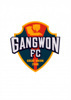 Gangwon FC Supporters, Join Us!
강원FC, 飛上하라! 飛翔하라!