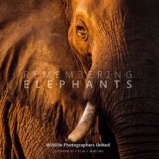 Charity book featuring photos by 65 of the world's top wildlife photographers. 300% funded by Kickstarter, on sale Sept 2016. Sponsored by @LandRover