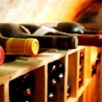 vins_dumonde (@vins_dumonde) 's Twitter Profile