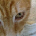 barbara picard - @picardbarbara1 - Twitter