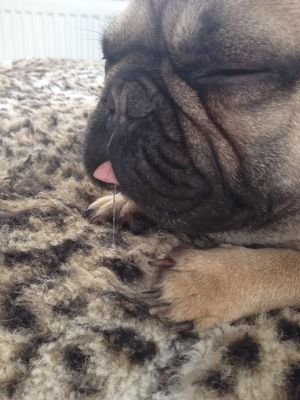 oakwood_media's profile picture. A creative website design start up based in Middlesbrough offering eCommerce, Web Design & Development, SEO & Social Marketing.