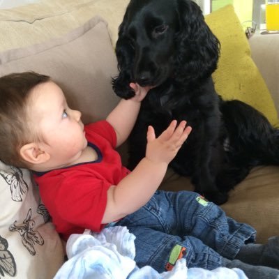 I'm a mummy to little Lucas and Pepper the dog! Blogging all things dog and baby related #mumblog - Katy Foster