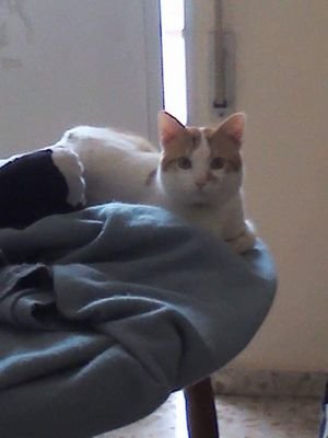 PrieSanti's profile picture. 