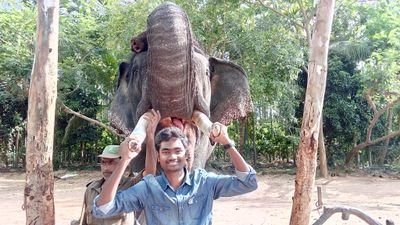 valloju's profile picture. 