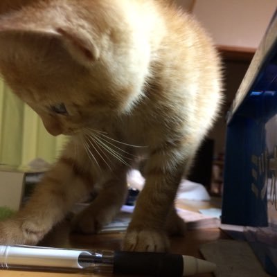 KimuhanHang's profile picture. 