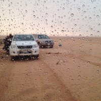 Ahmad (@ahmad436l6) 's Twitter Profile