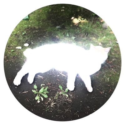 𝄇さんのプロフィール画像