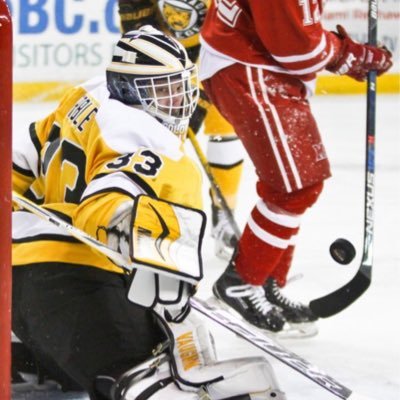 Minder of nets. Entrepreneur Insta: @t_marbs30 CCtigers - UNF - NAHL alum. MI/CO/FL