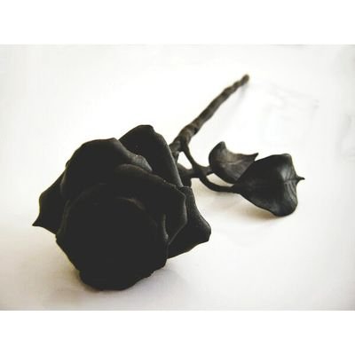 spaclosed's profile picture. Dalam masa perbaikan.