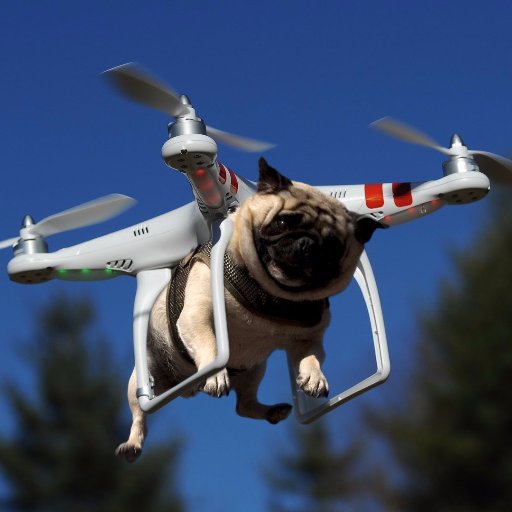 TheDIYDrone's profile picture. Everything drone and related