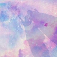 S ..＊ (@chammm_s) 's Twitter Profile