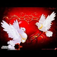 الاداري احمد (@mm7037632) Twitter profile photo