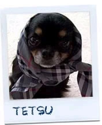 tetsu10386703 Profile Picture