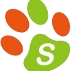 catnipcattoy's profile picture. 🐱