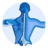 InfoMedspine's profile picture. Centro de investigación y tratamiento del dolor de espalda. #espondilolistesis #lumbalgia