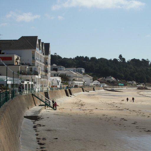 SBBfestival's profile picture. 