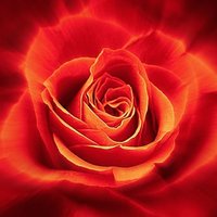 Abd Alhamid Alwaeli (@hamid71255181) 's Twitter Profile