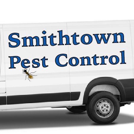 Call 631-213-2038 For A Free Consult From Your Local Smithtown Pest Control And Exterminator Company Same Day/Next Day Service in Smithtown NY.