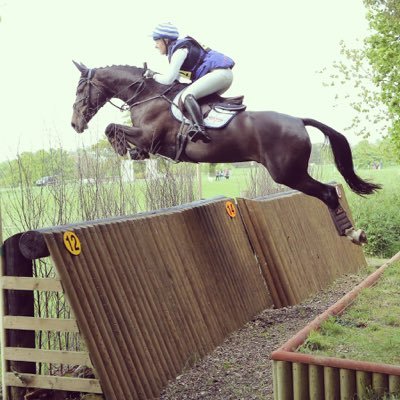 Meadow Farm Equestrian. Showjumping and Eventing Competition Livery available