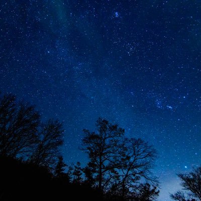 sho_buell's profile picture. 