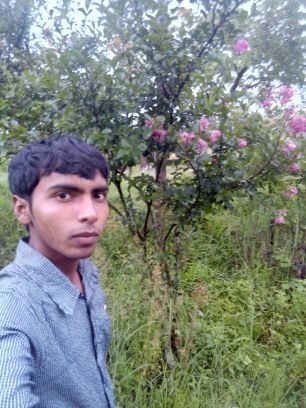 YadavRasnarayan's profile picture. 