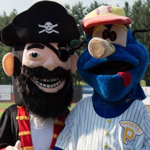 Dingbat has been the mascot of professional baseball in Bristol, VA since 2000. He is joined by Captain Buc, a 2016 signee, for the 2016 campaign.