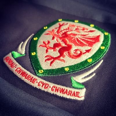 Wales national team fan site. Club neutral! #togetherstronger