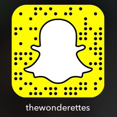 TheWonderettes's profile picture. The Fab 4 from Stages Repertory Theatre's long running hit. The World Premier of the 4th installment, Dream On, premieres August 5, 2016! Insta: @thewonderettes