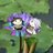 twitter profile