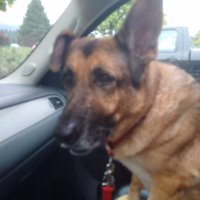 PhatmanSellsGM's (@jmacleoddotca) 's Twitter Profile