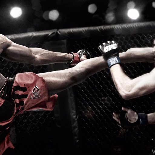 Creative_Videos's profile picture. Life is like a box of chocolates...