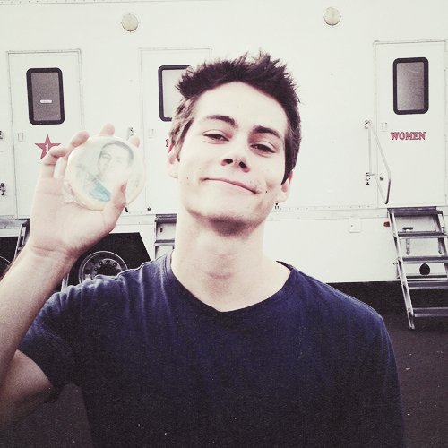 stilesrpgstil's profile picture. Humain || 'Ma philosophie c’est d’ignorer le problème jusqu’à ce que j’en sois complètement débarrassé'