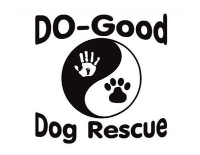 NH Based all breed dog rescue formed by dedicated volunteers to save dogs from around the country and assist with local owner surrenders.