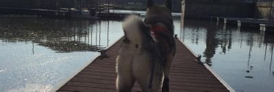 lzastera's profile picture. Nothing